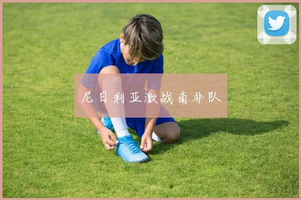 尼日利亚激战南非队