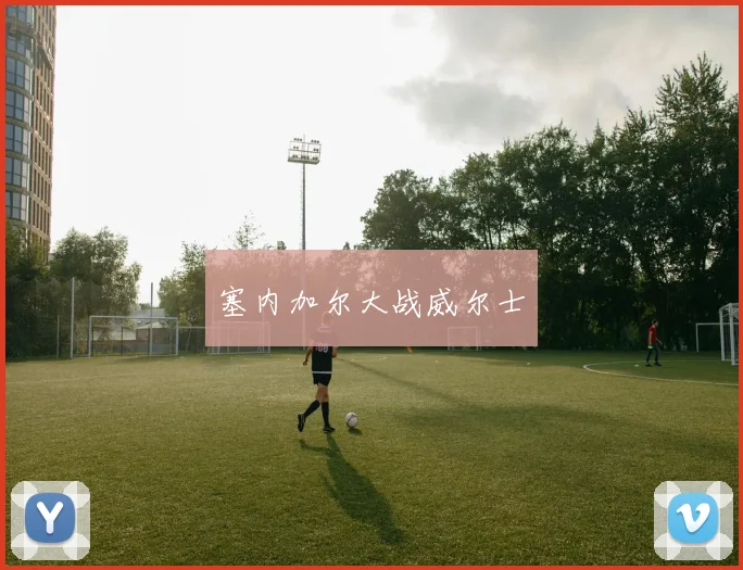 塞内加尔大战威尔士